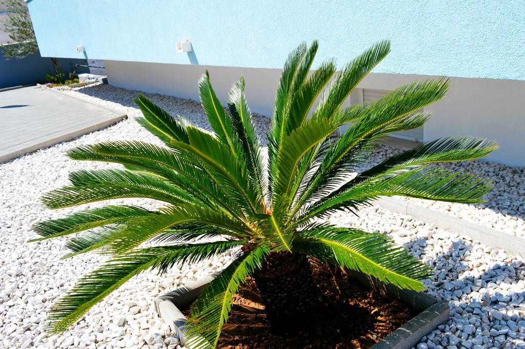 Permarinus Apartments Podstrana Zewnętrze zdjęcie